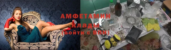 твердый Инта