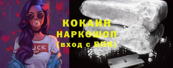 твердый Инта