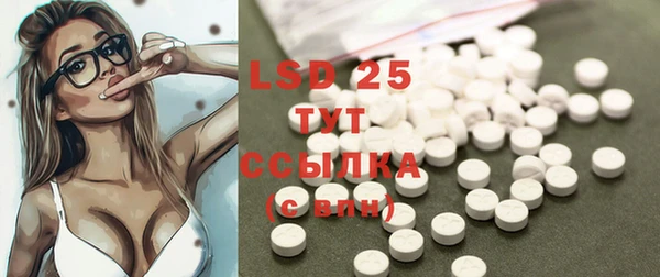 твердый Инта
