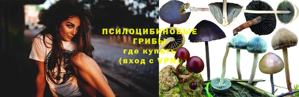 твердый Инта