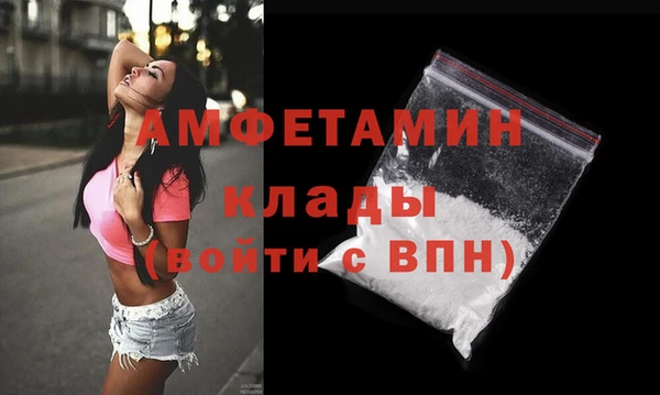 твердый Инта