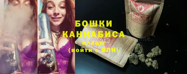 твердый Инта