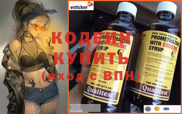 твердый Инта