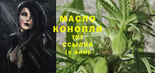 твердый Инта