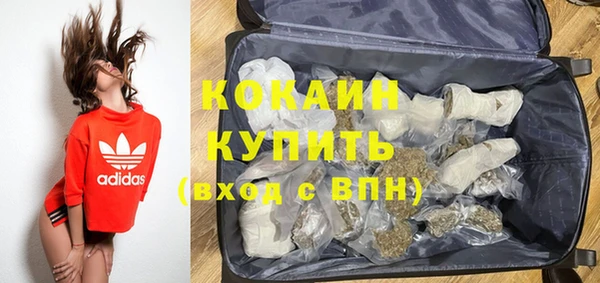 твердый Инта