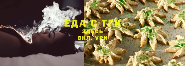 твердый Инта
