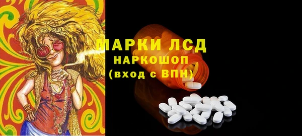 твердый Инта