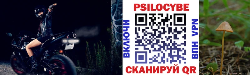 Купить  Рославль  Псилоцибиновые грибы мицелий 